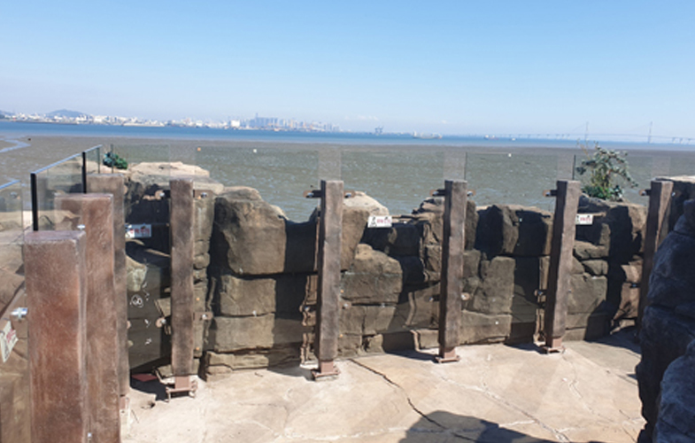Discover Yeongjongdo Seaside Park with a 5.6 km rail bike and an 18 m observation deck