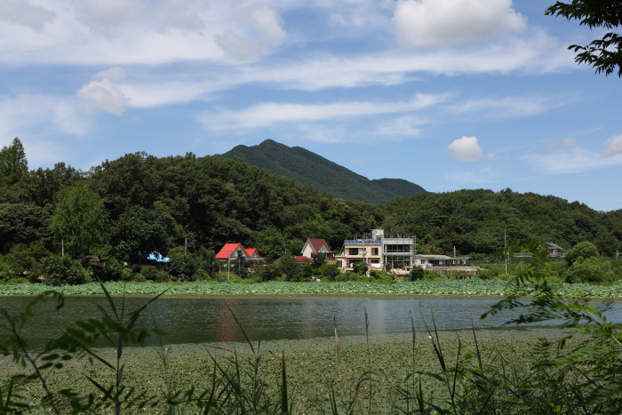 남양주 다산길 2코스 안내 기사에 실린 팔당호 주변 길 사진입니다.