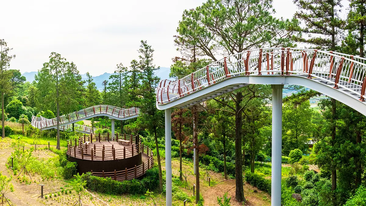 정남진 편백숲 우드랜드 전경입니다.