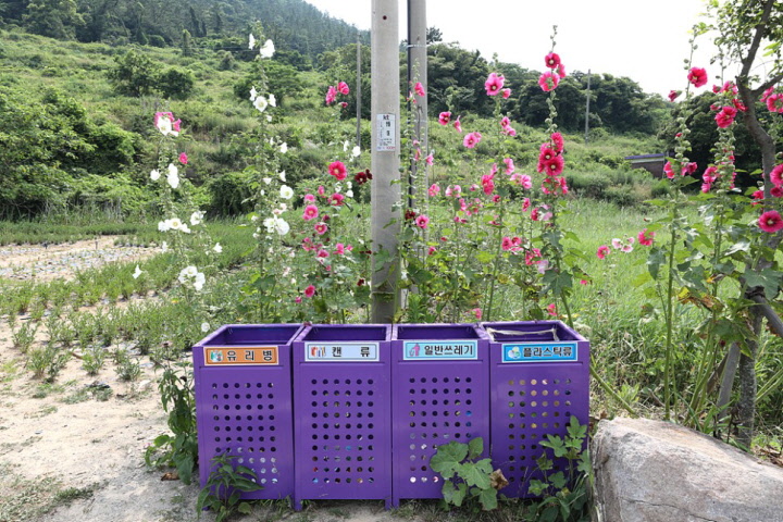 신안 퍼플섬의 보라색 산책길입니다.