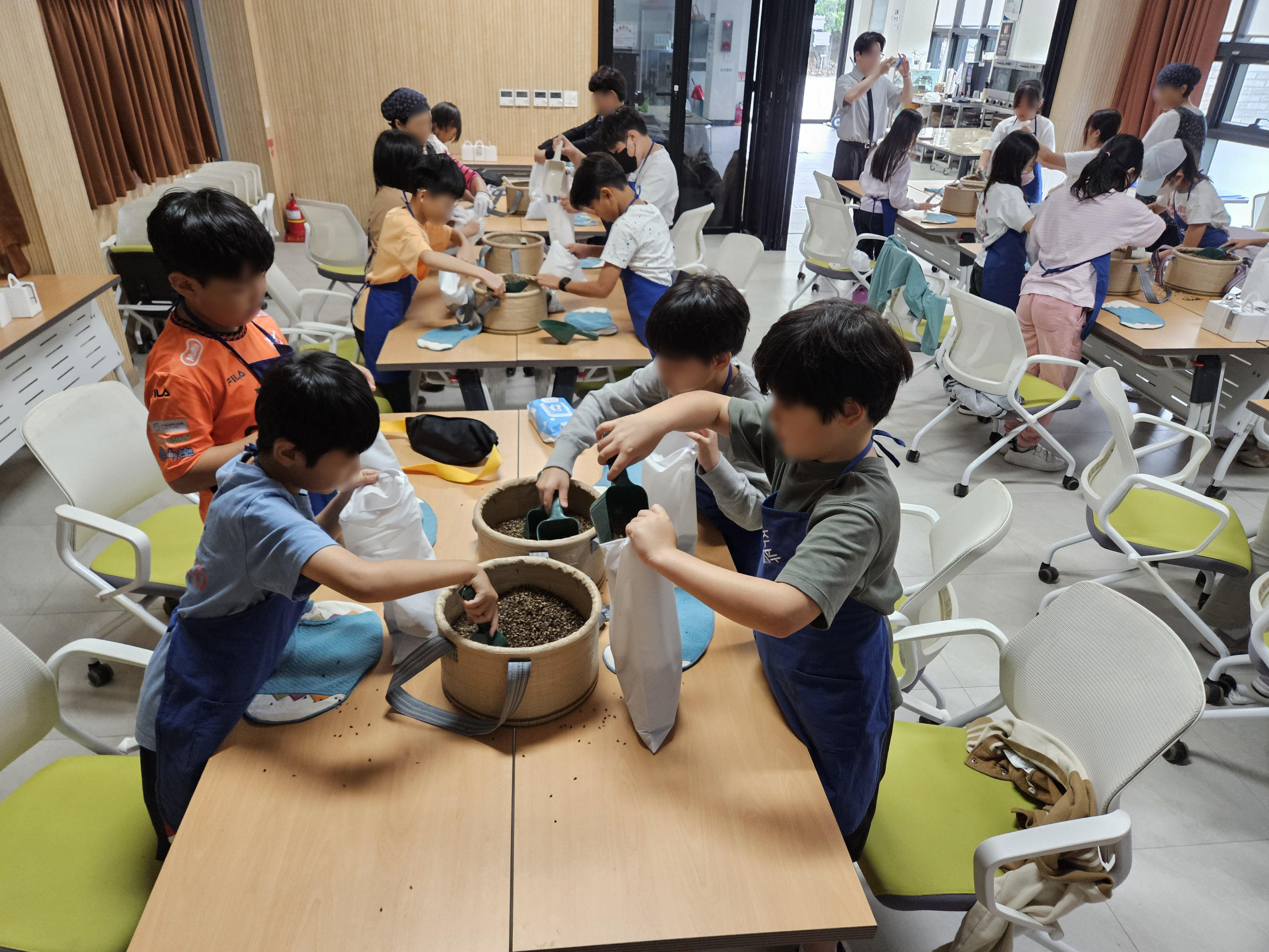 밭담 사이로 펼쳐진 와흘메밀마을 메밀밭과 오름 풍경