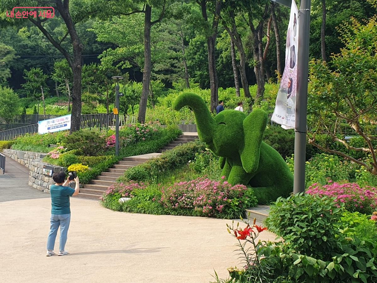 초안산수국동산에 조성된 다양한 포토존