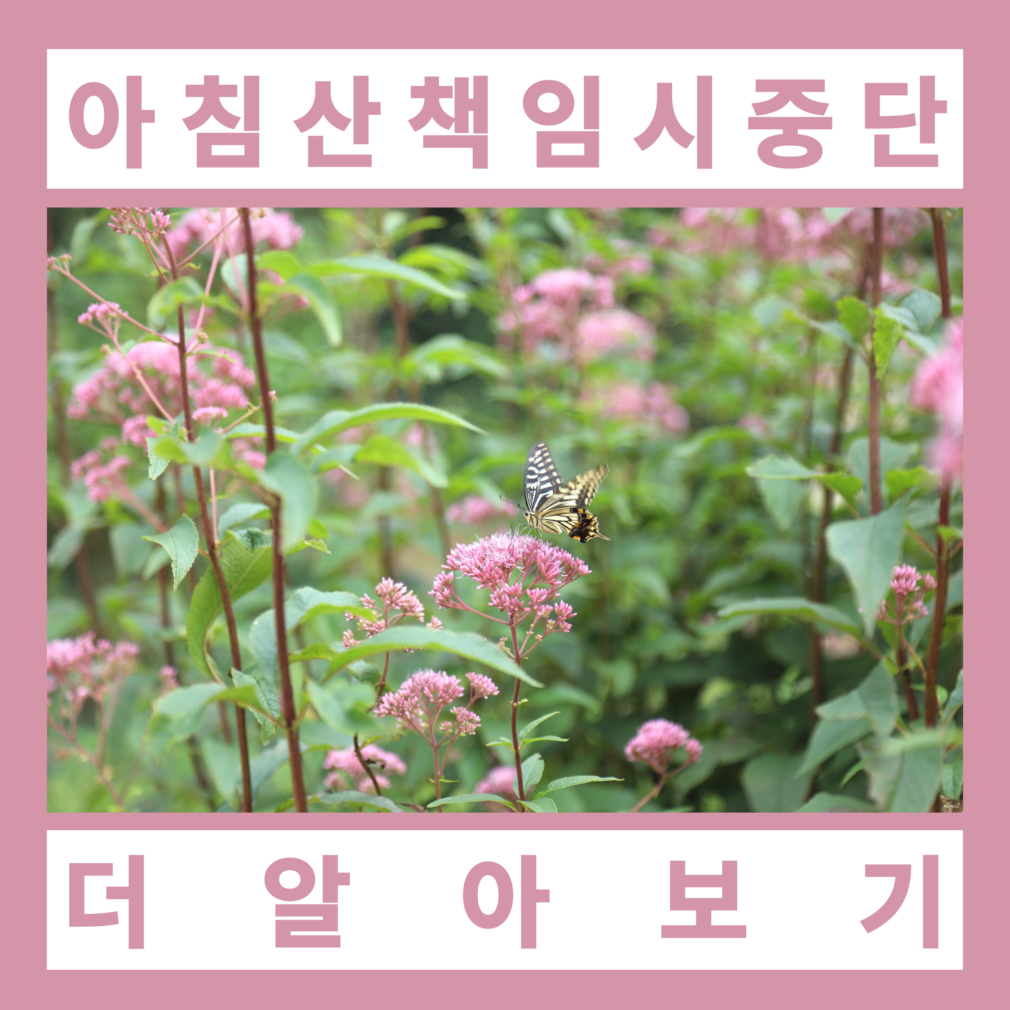태안 천리포수목원 — 민병갈이 일군 926분류군 목련의 해안 정원