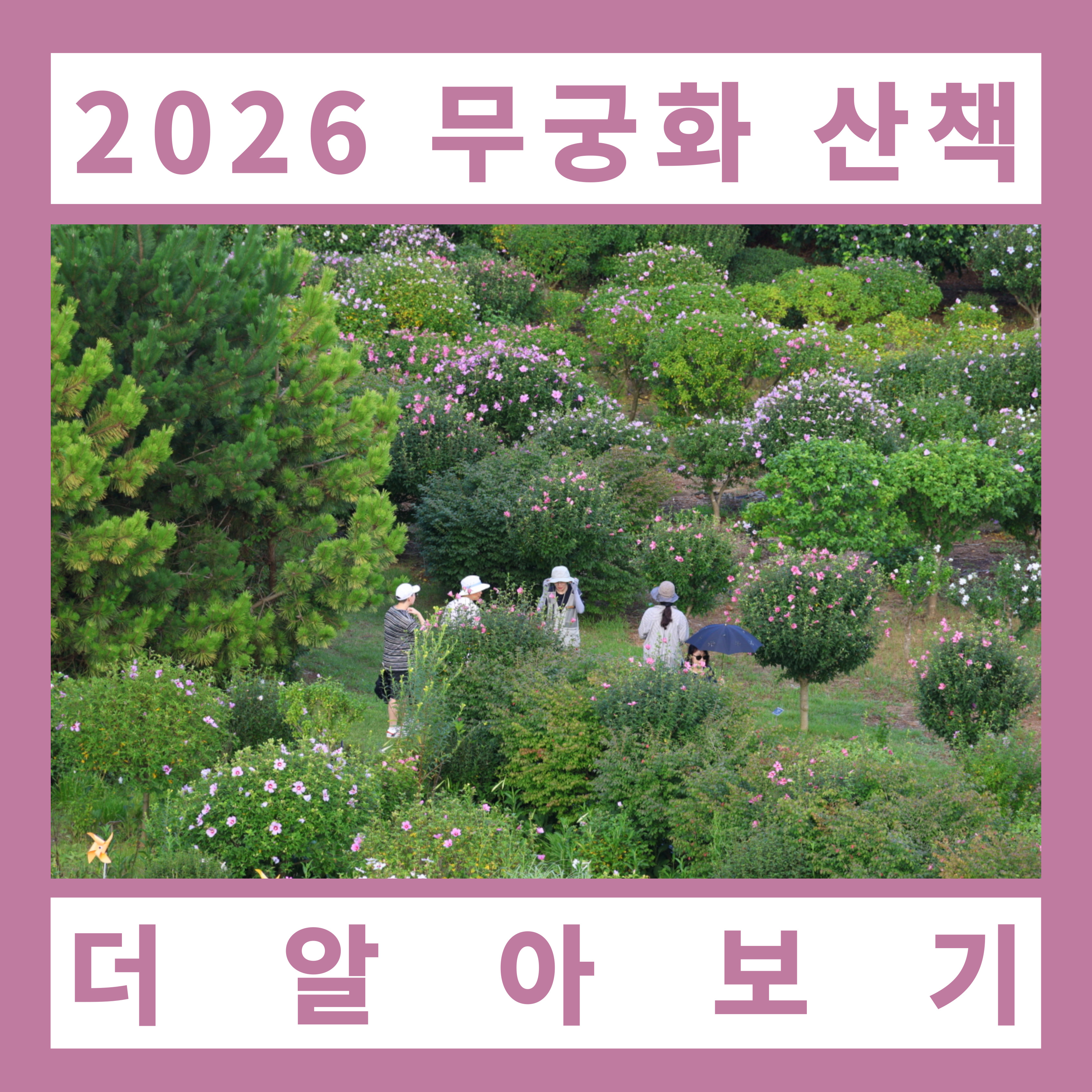 침엽수가 빽빽하게 자란 천리포수목원의 숲길