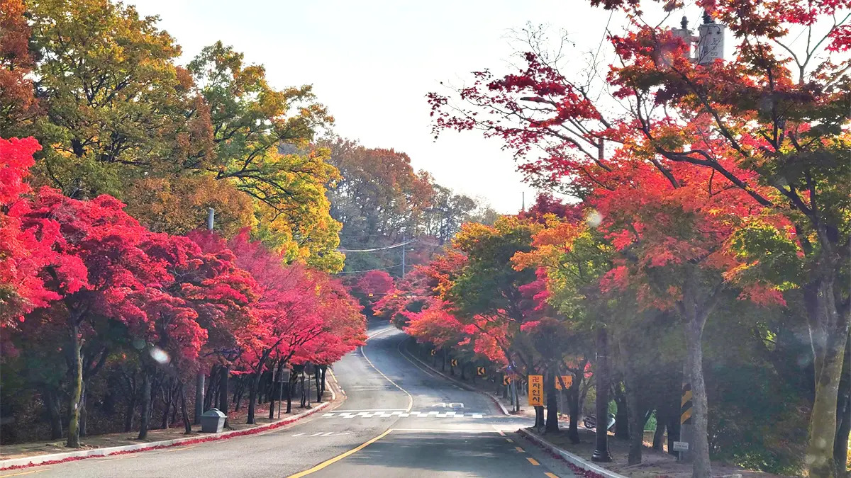 팔공산 능선을 따라 이어지는 등산로 풍경