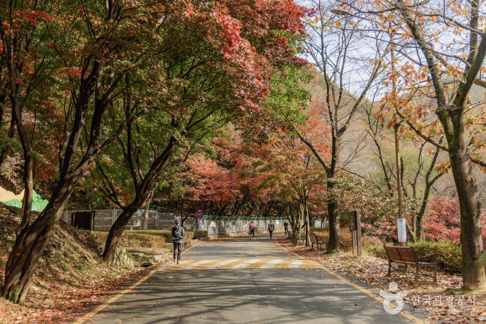 가을 단풍이 절정을 이룬 소요산의 능선과 계곡 풍경