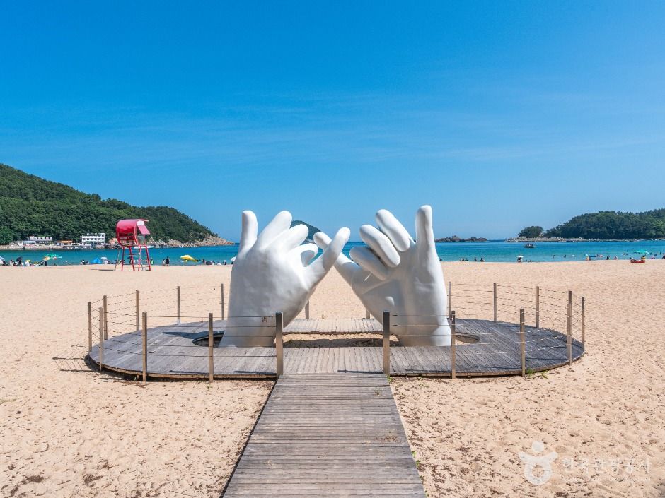 은빛 모래와 송림이 어우다진 상주은모래비치 전경
