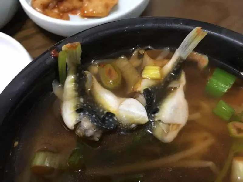 통영 서호동 호동식당의 졸복국상