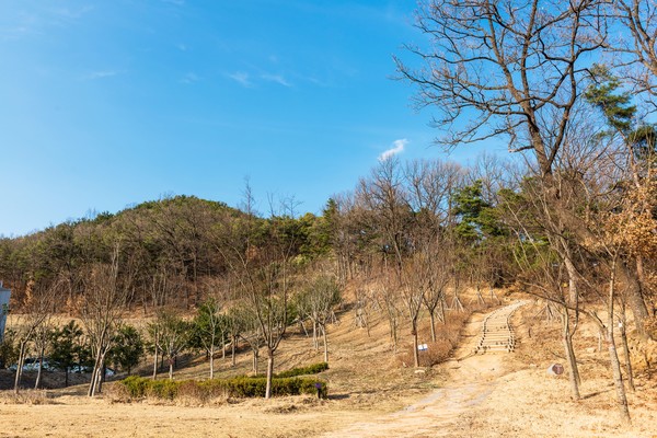 원수산 등산로. 세종시 제공