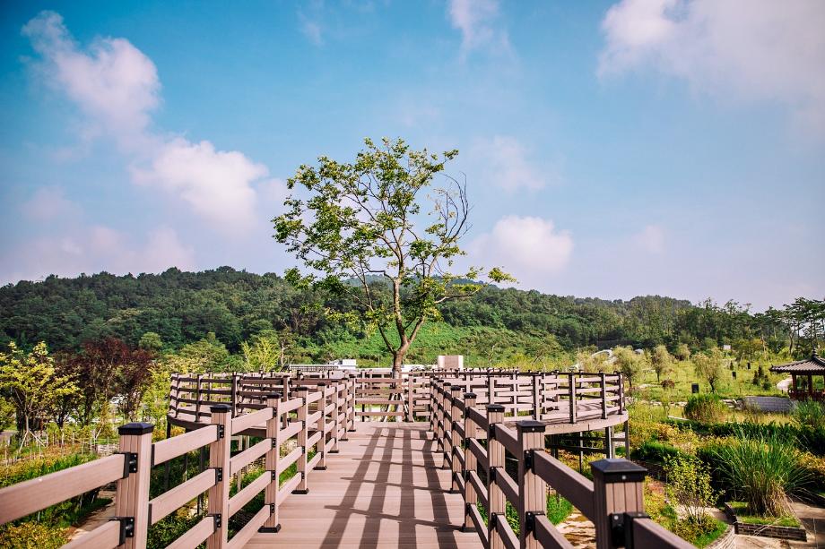 무궁화테마공원 내 작가정원 작품과 산책로가 이어지는 모습