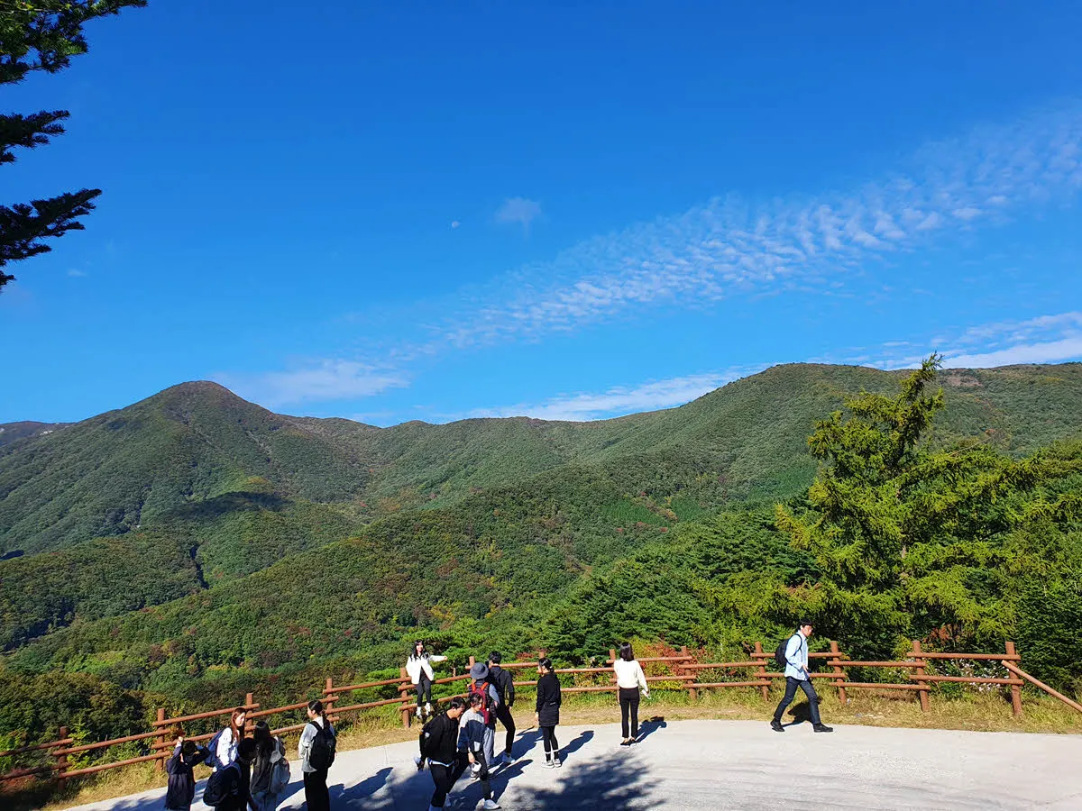 간월재 억새평원에서 바라본 산악 풍경입니다.