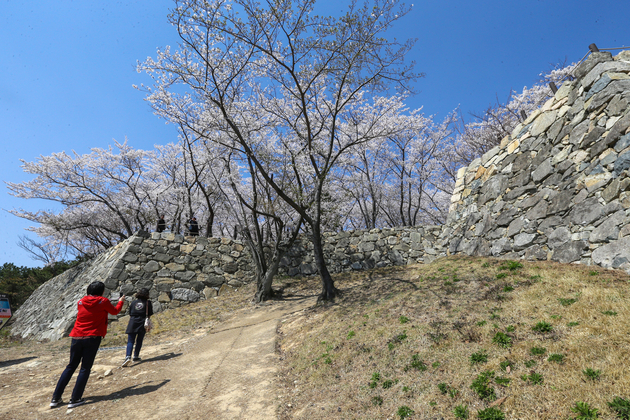 울산광역시 사진DB에 수록된 서생포왜성 사진입니다.