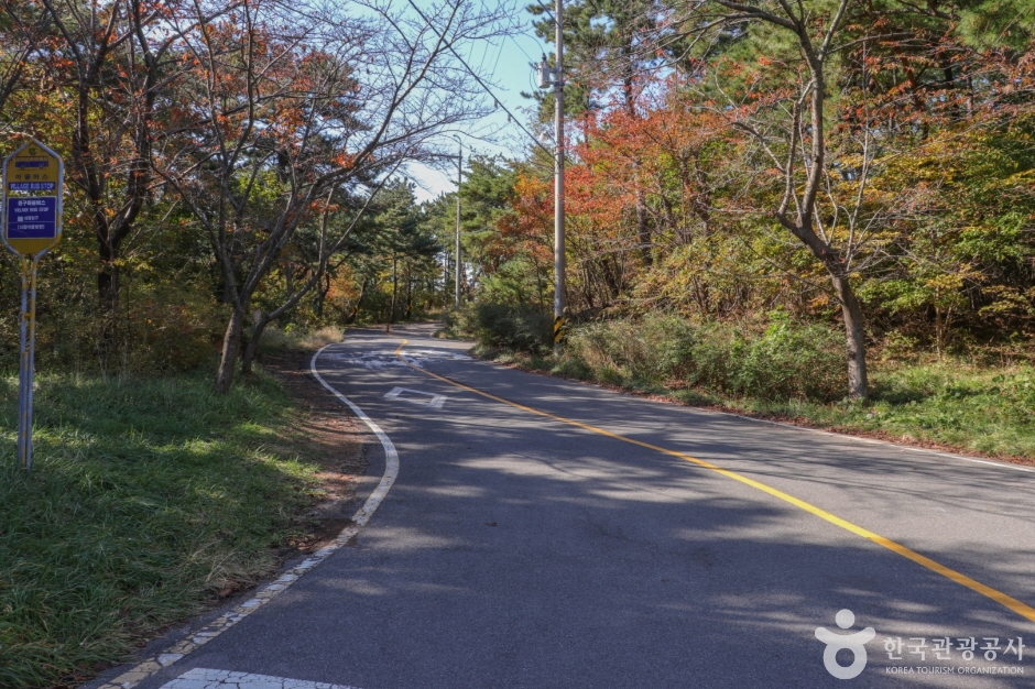 울산테마식물수목원 전경입니다.