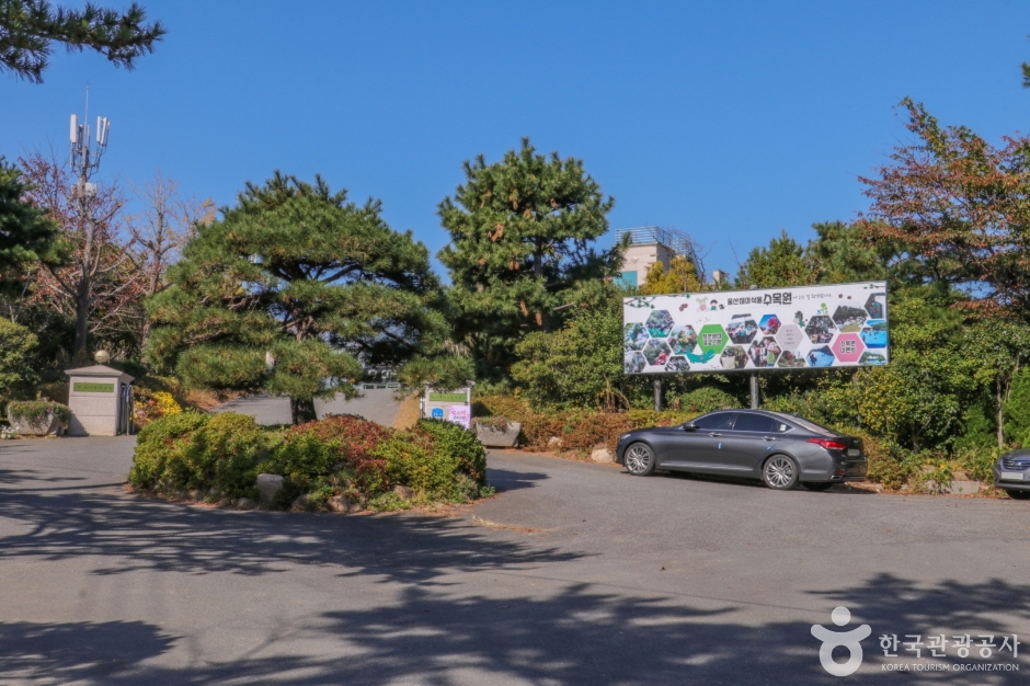 울산테마식물수목원 전경입니다.