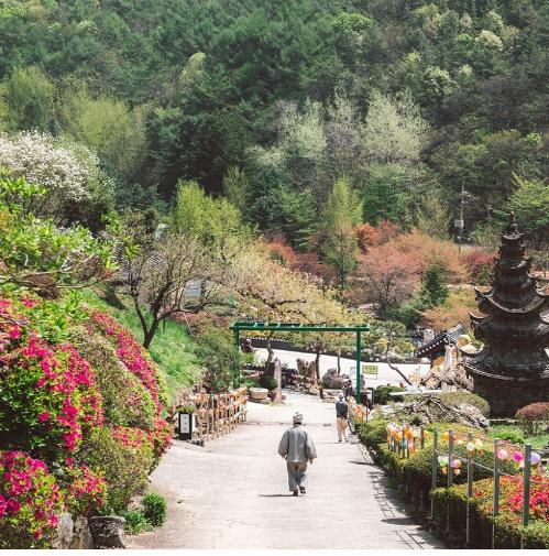 용인관광이 소개한 와우정사 경내