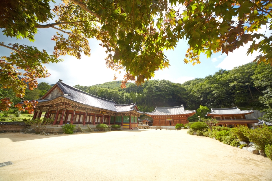 양산 내원사 경내 전경입니다.