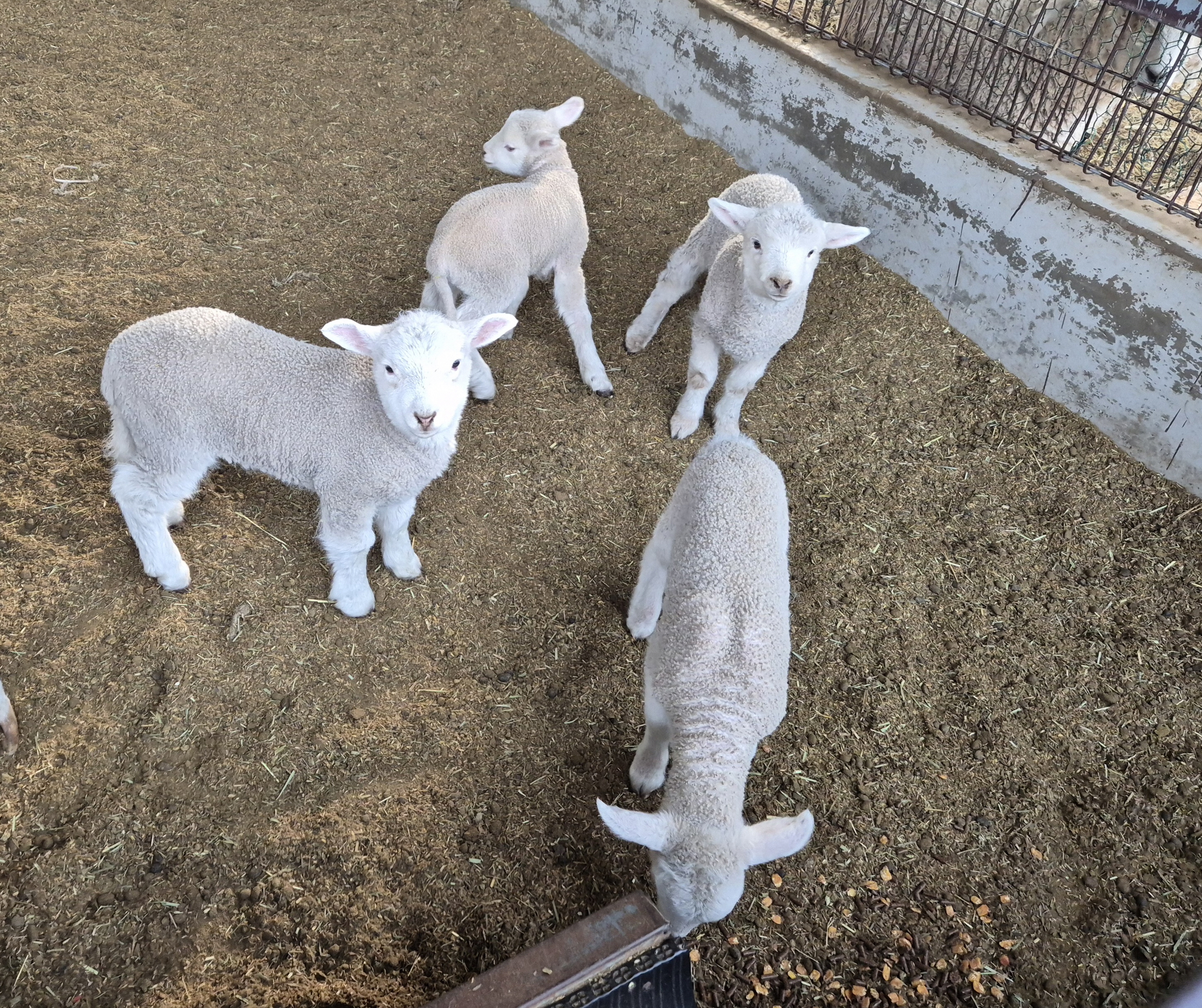 거제 숲소리공원 연계 관광 현장 사진입니다.