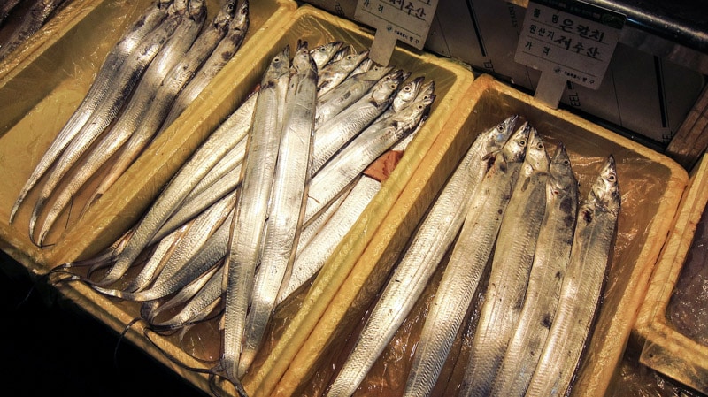 서울중앙시장에서 판매하는 갈치입니다.