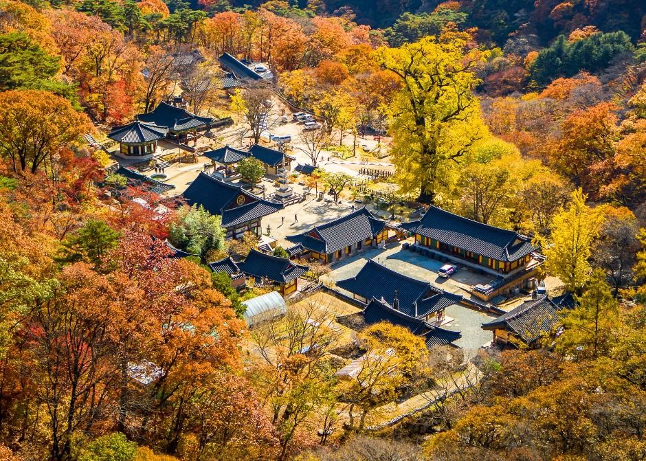 한국관광공사가 소개하는 양평 용문사 경내 전경