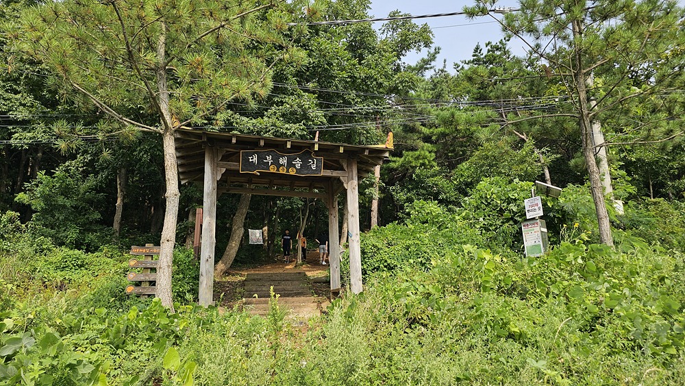대부해솔길 초입의 산책로 입구