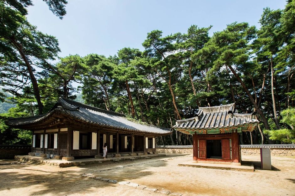 영월 청령포 전경