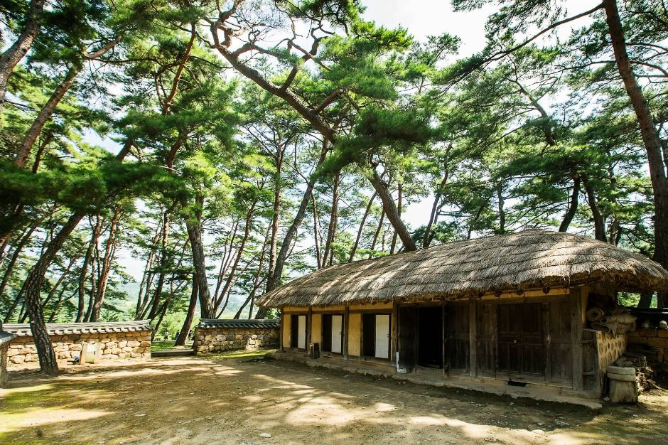 영월 청령포 전경