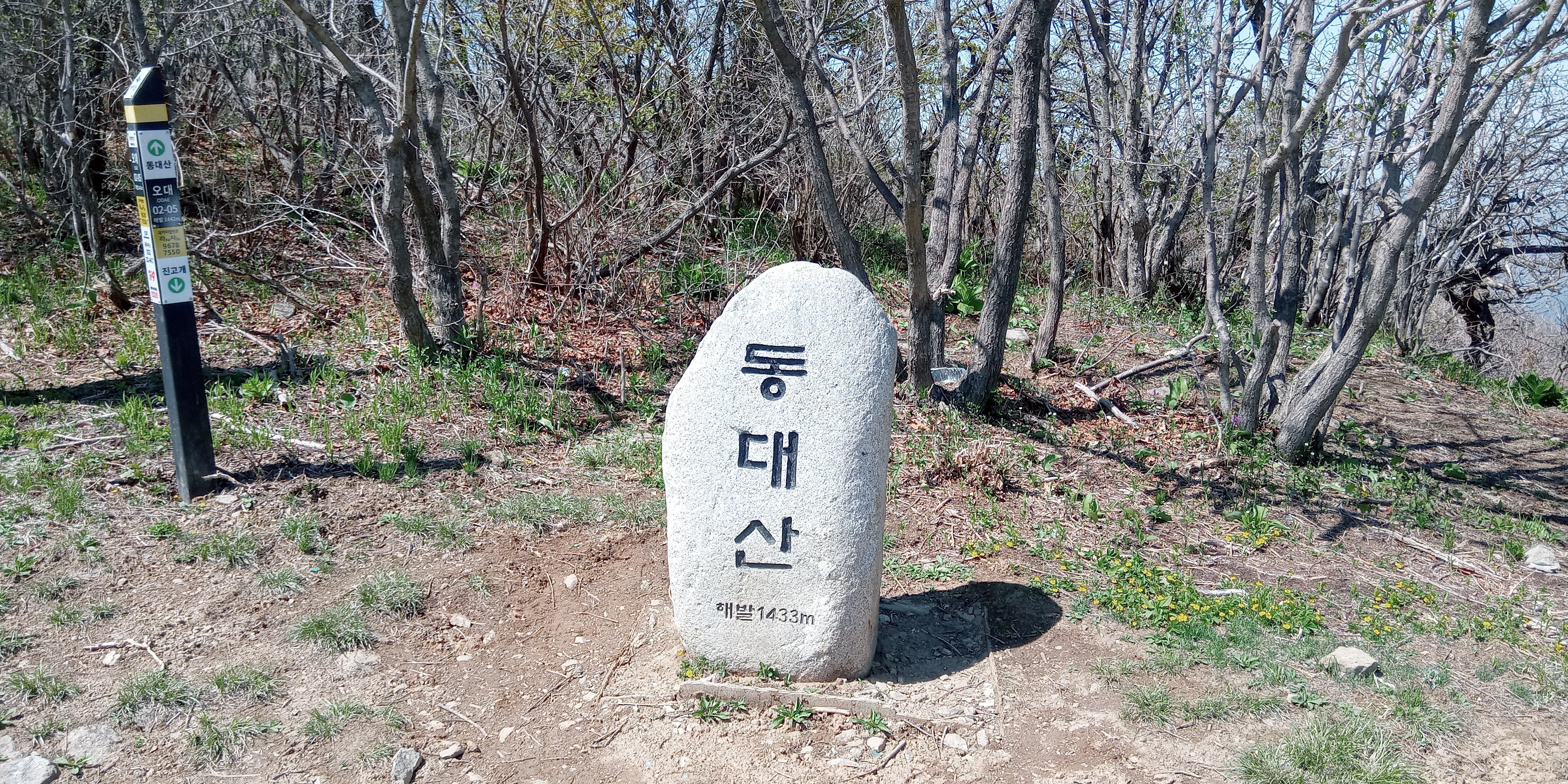 오대산 동대산 탐방로 모습입니다.