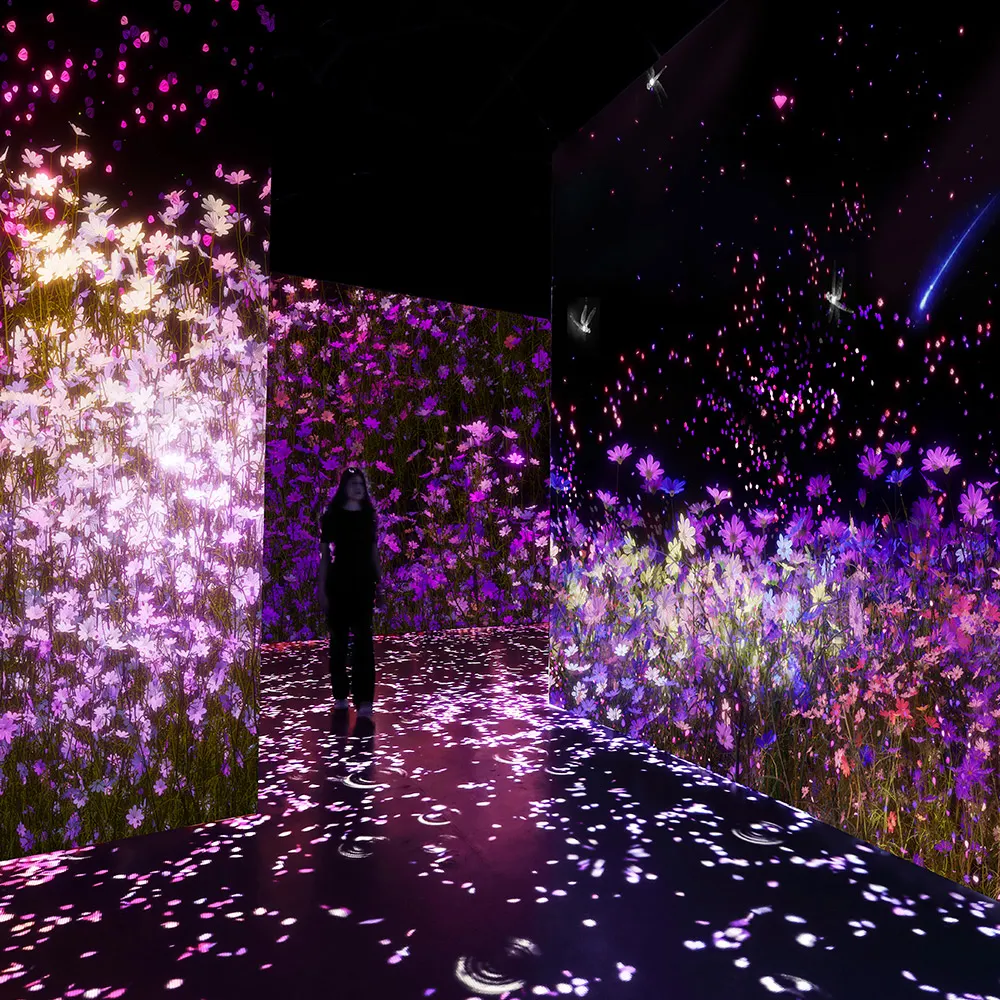 Meet “VALLEY” in Chodang-dong—The Light, Sound, and Scent Trail at ARTE MUSEUM Gangneung
