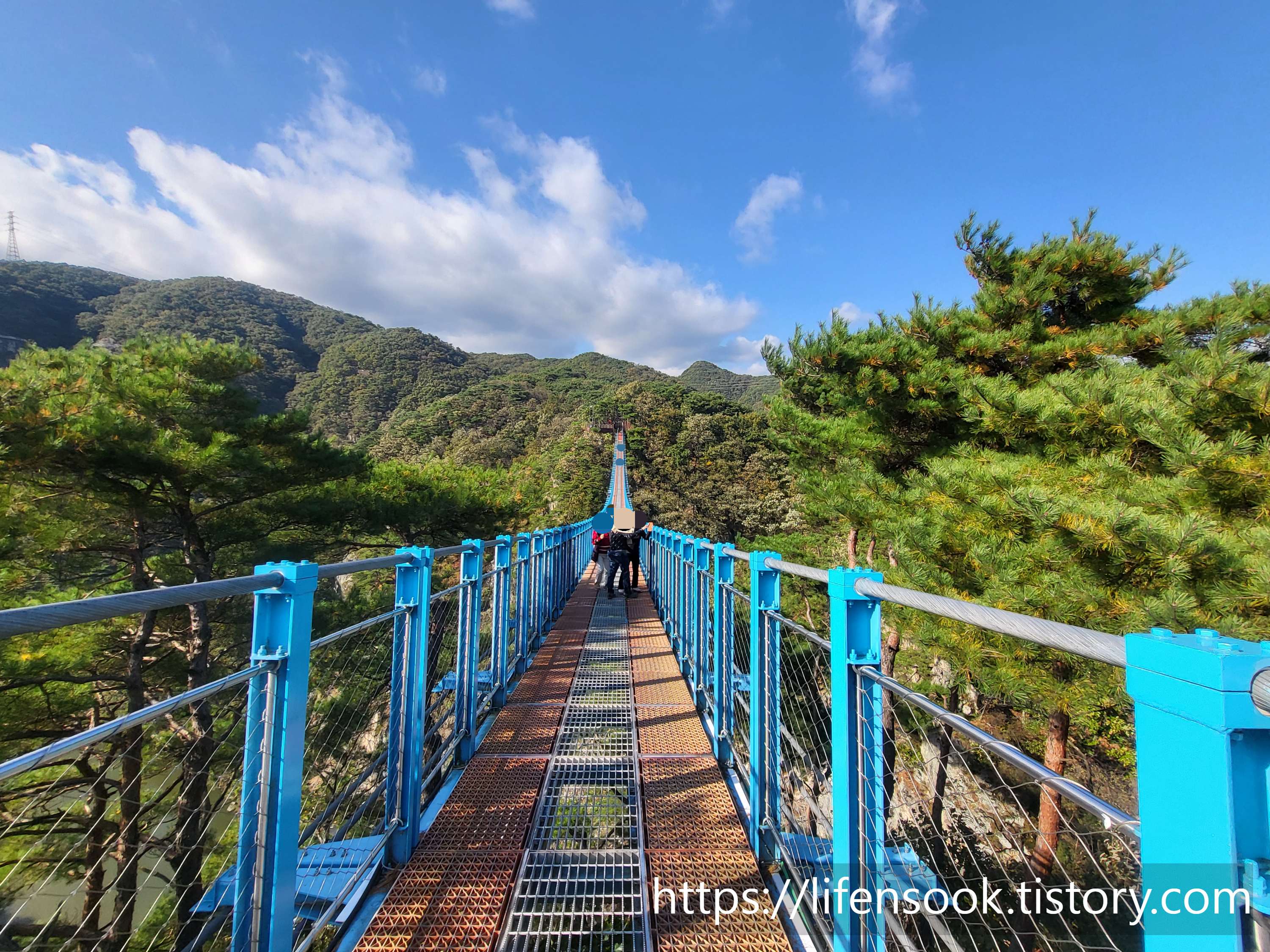 소금산 출렁다리 사진입니다.