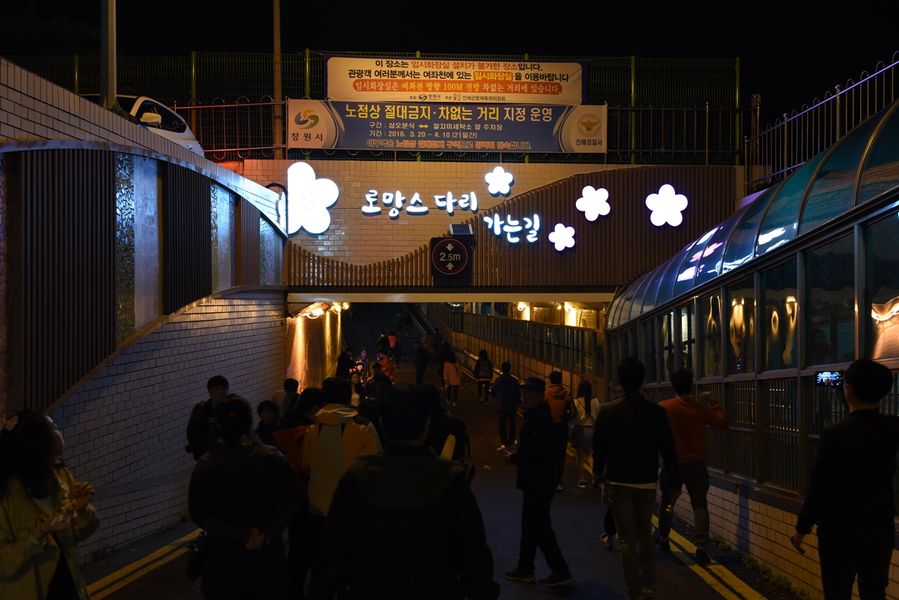 진해 여좌천 벚꽃길