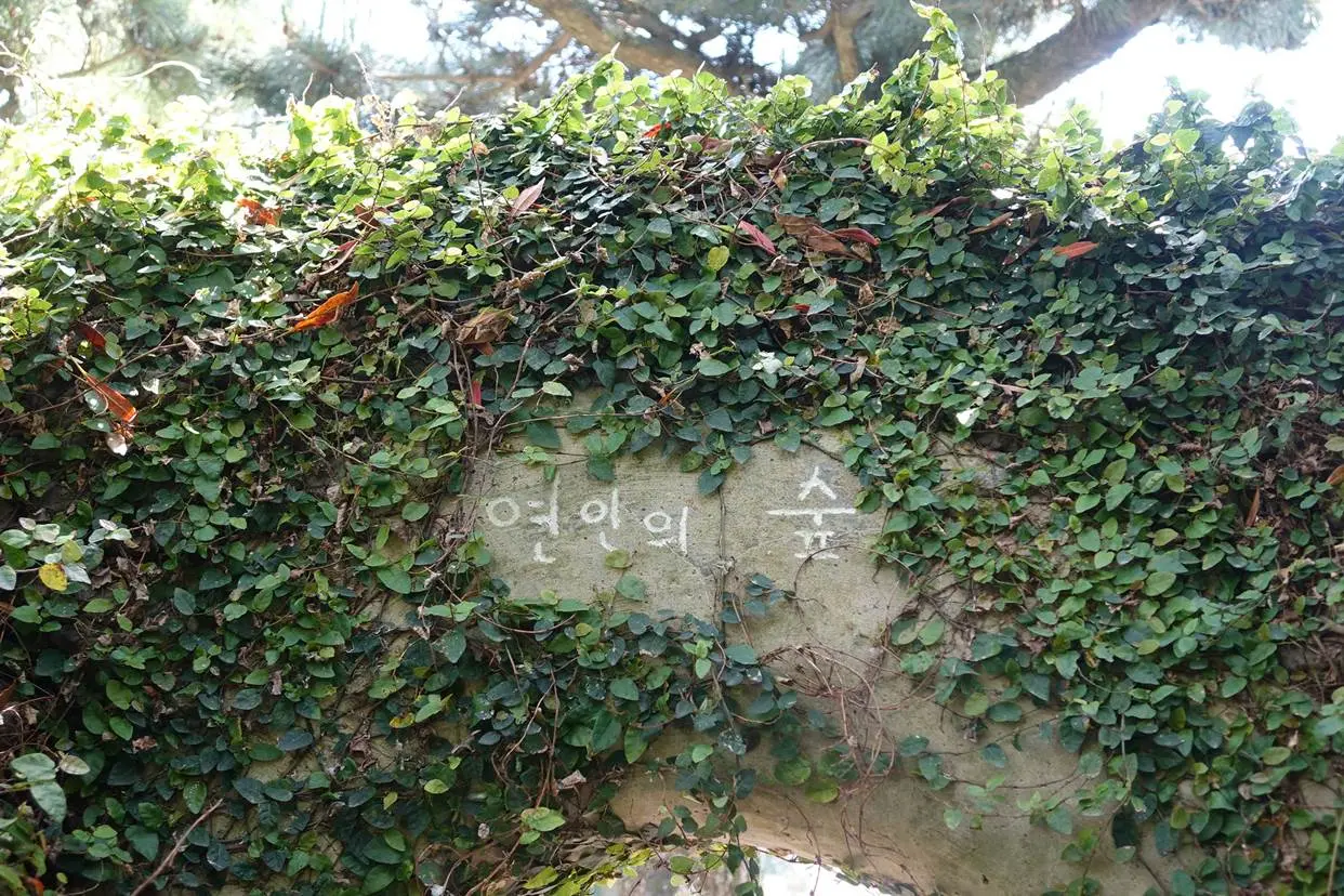 낮의 허브와 밤의 300만 LED를 한 번에 보는 표선 제주허브동산