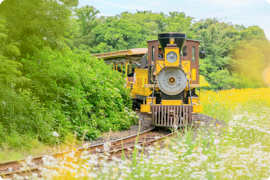 Jeju Eco Land: Walking after getting off at four stations along the Gotjawal railway