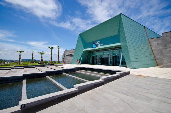 Aqua Planet Jeju: Experience the 11-Meter Main Tank and Haenyeo Exhibition in One Day