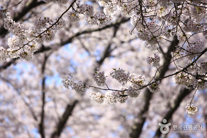경화역공원 철도 공간