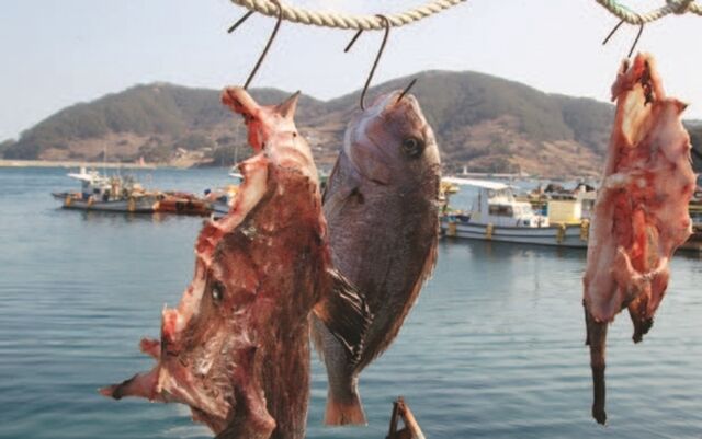 욕지도 천왕봉과 대기봉 일대 전경입니다.