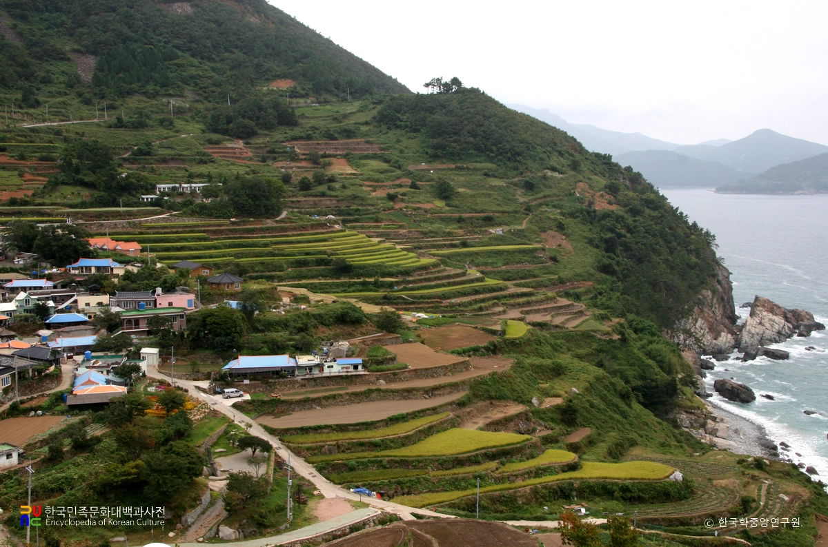 Namhae Gacheon Darangyi Village, Where 108 Tiers of Rice Terraces Descend to the Sea