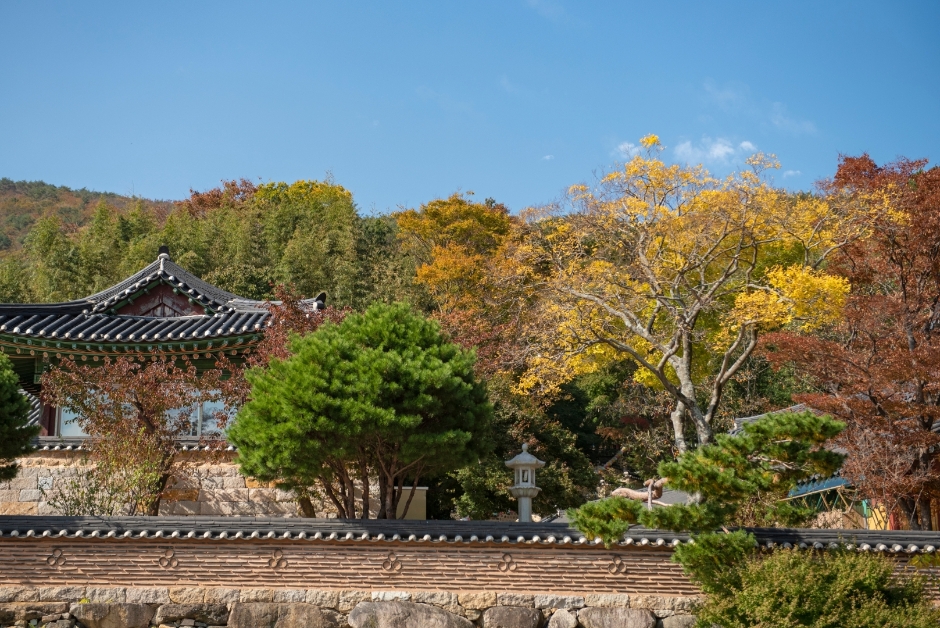 금정산 범어사 풍경입니다.