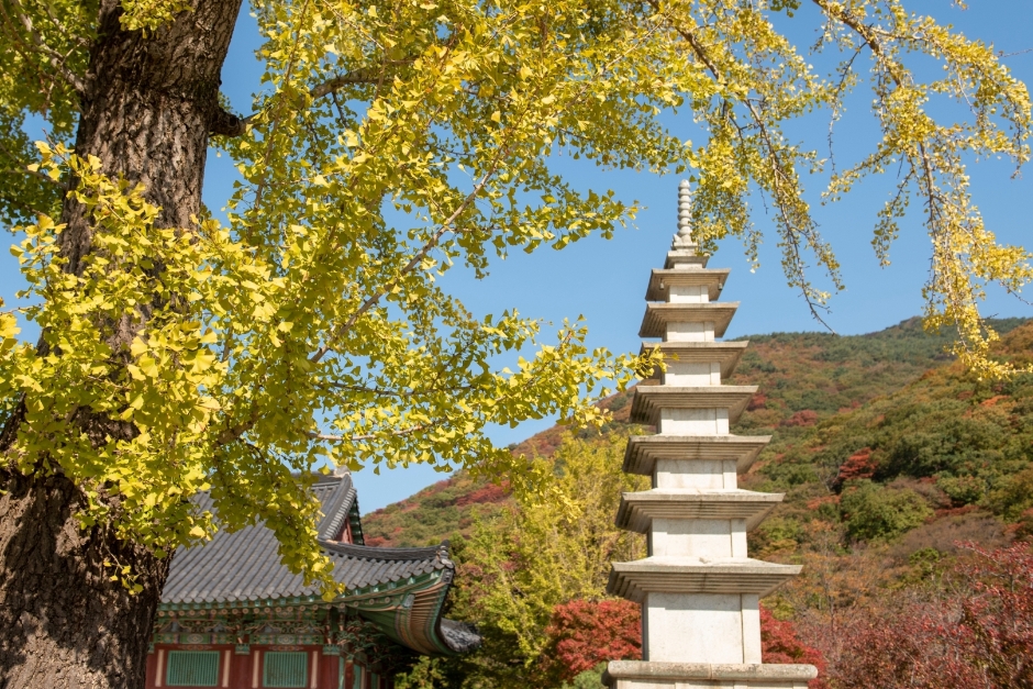 범어사 건축물 전경입니다.