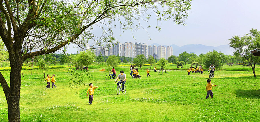 Walking through Busan’s Samnak Ecological Park, a 4.72 km² riverside park along the Nakdong River