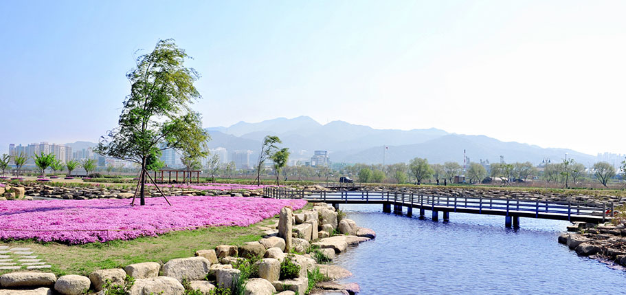 삼락생태공원4 사진