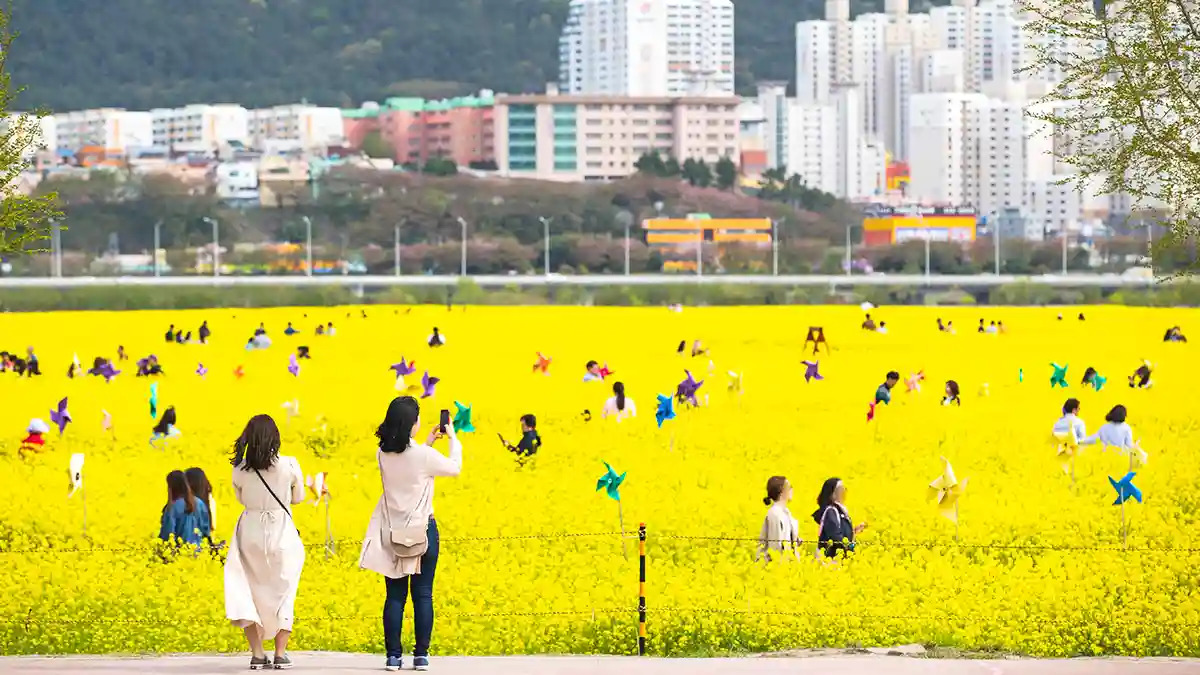 대저생태공원의 낙동강변 풍경입니다.