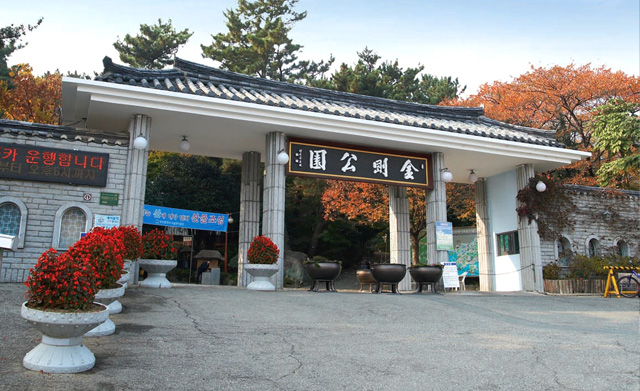 Geumgang Park Cable Car, Ascending to the 540 m Ridge of Geumjeongsan on a Route Dating to 1966