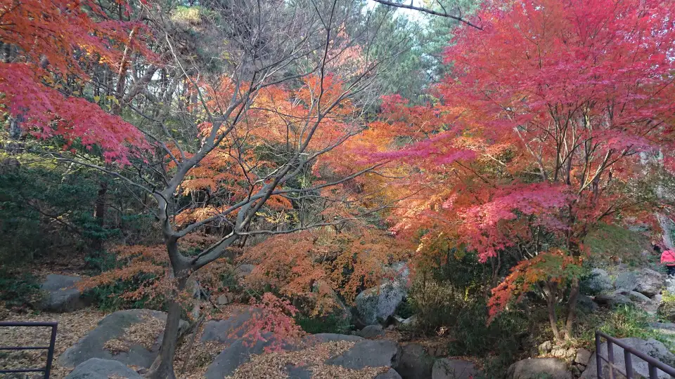 금강공원 풍경입니다.