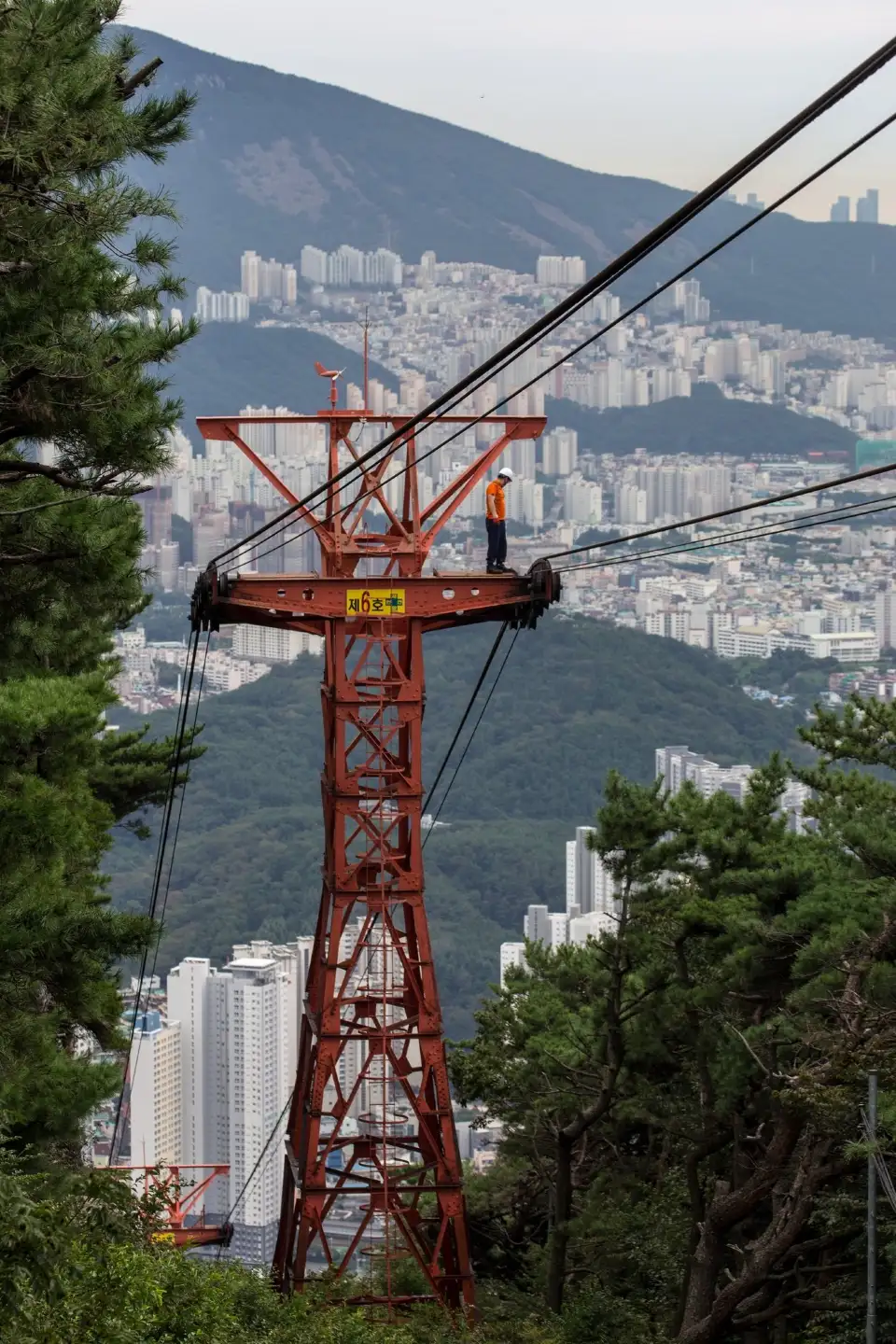 금강공원 일대 풍경입니다.