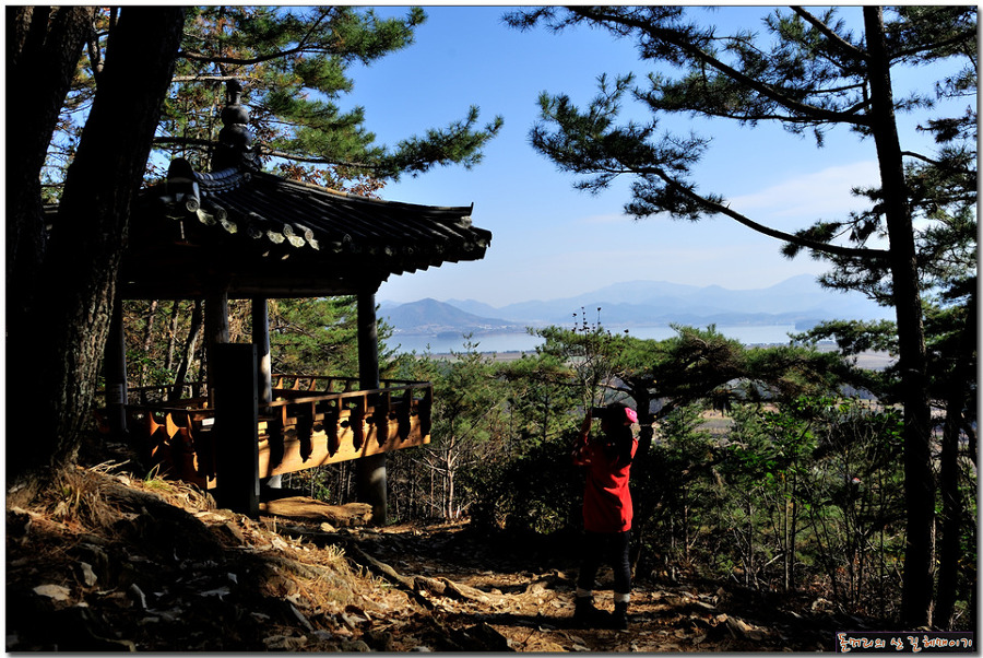 다산초당 주변 탐방로 전경.
