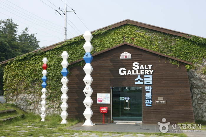 Discovering Jeungdo’s Salt Records in a 1953 Stone Warehouse at Taepyeong Salt Farm