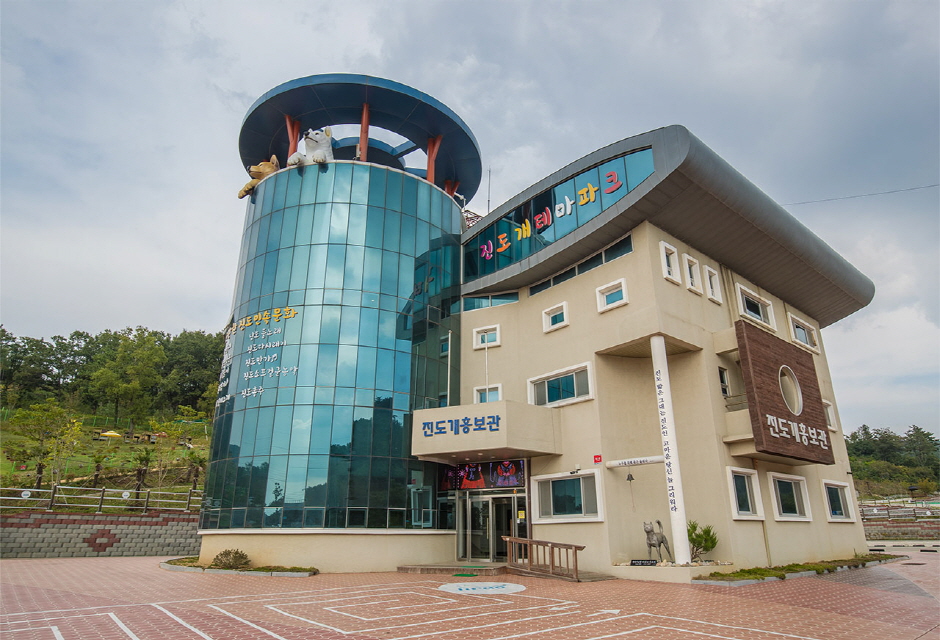 Jindo Dog Theme Park: A Walk Timed for the Dogs' Running Sessions