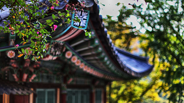 광주 증심사 경내