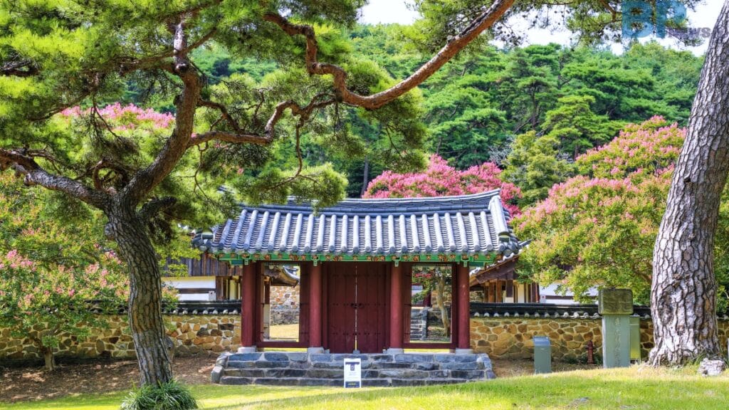 광주 포충사 여름 풍경 사진입니다.