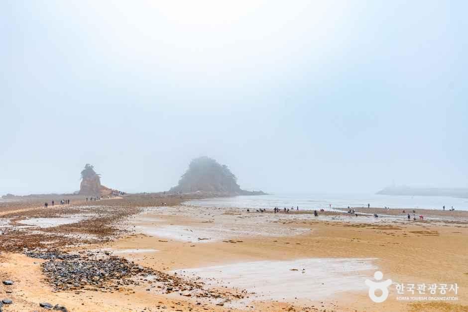 꽃지해수욕장 전경입니다.